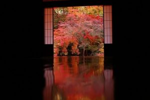 京都岩倉　「実相院」の紅葉