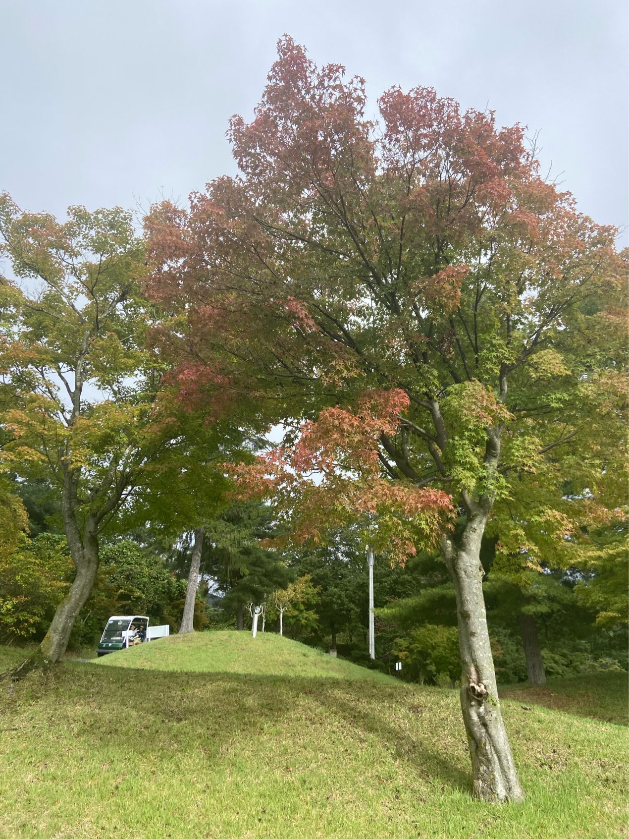 雨の１日