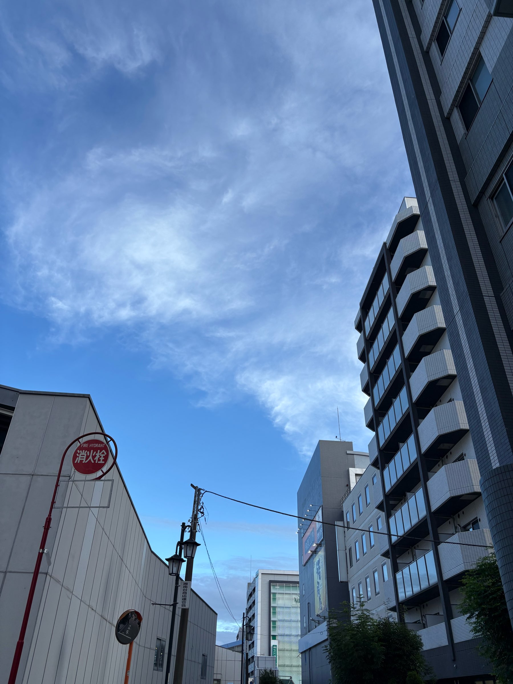 詩人だ！！