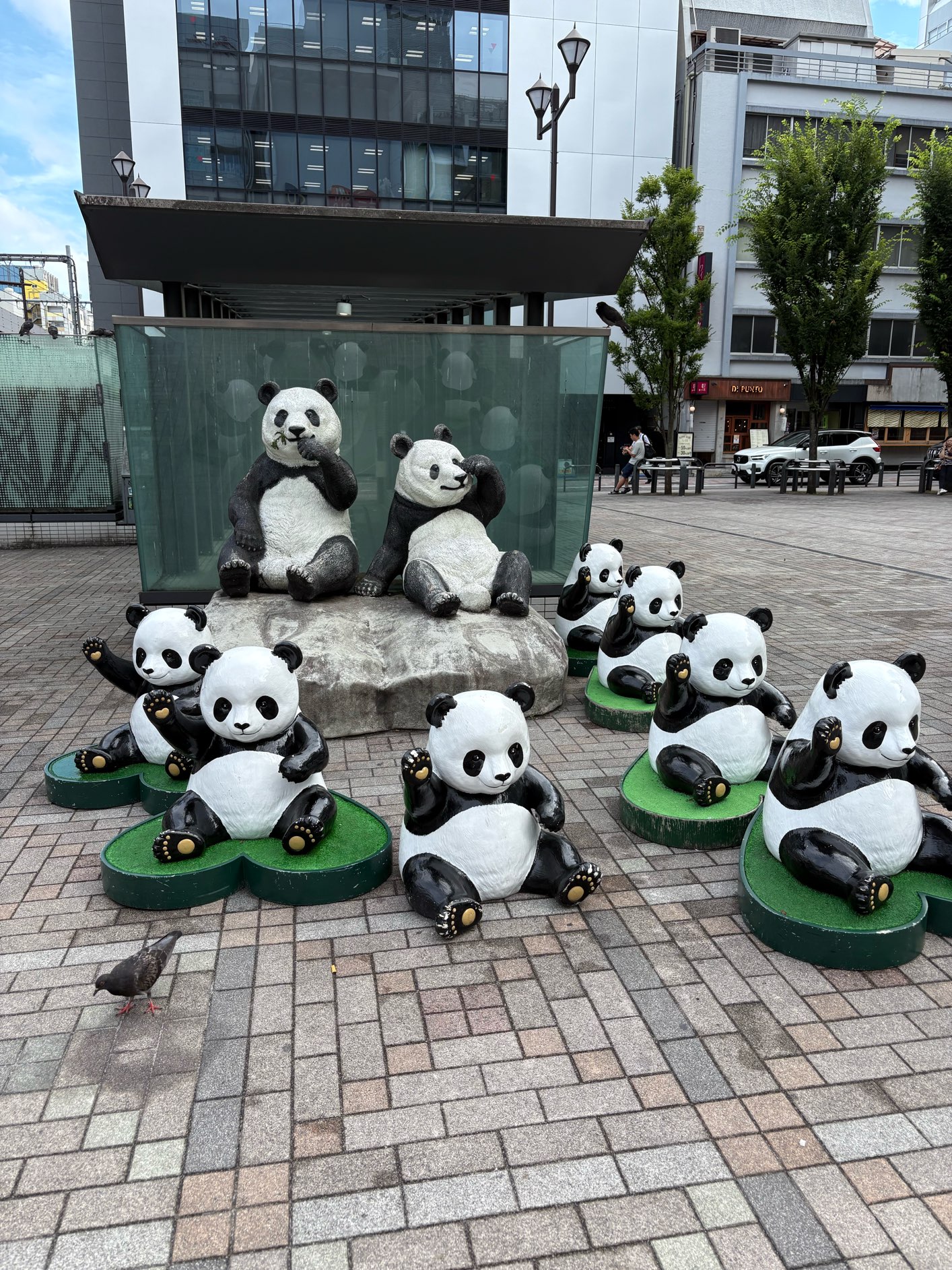 なんだか増えていました
