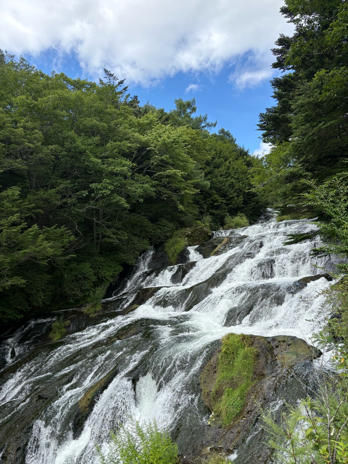 夏休み終了です
