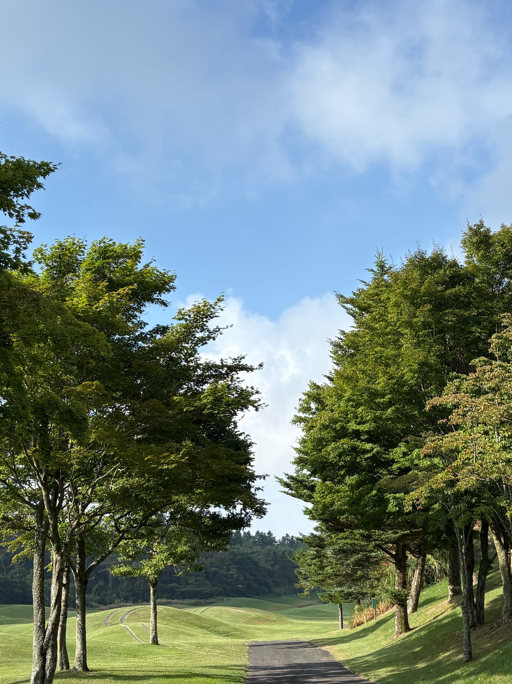 ９月です。まだまだ夏ですね