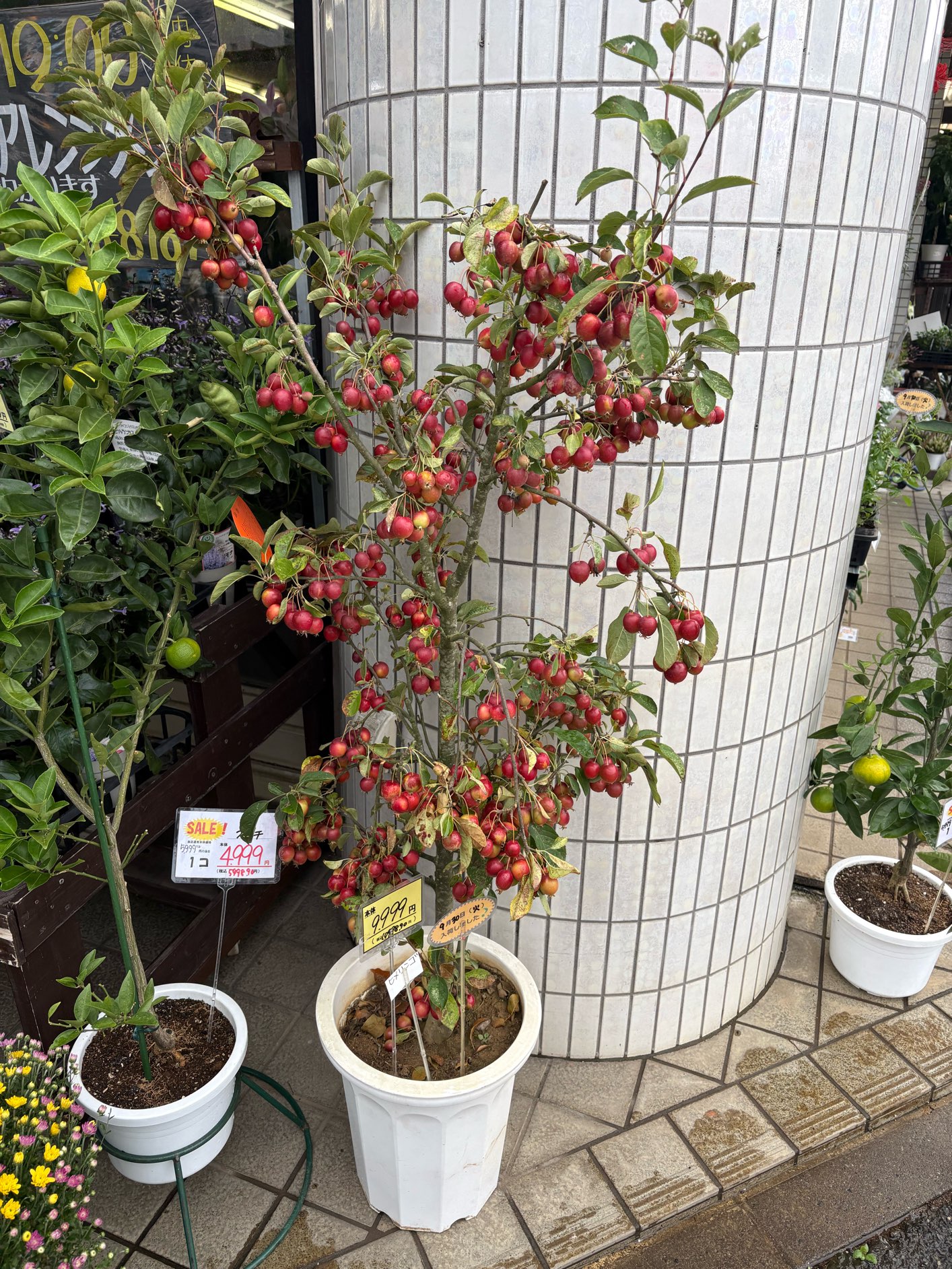 今日から10月