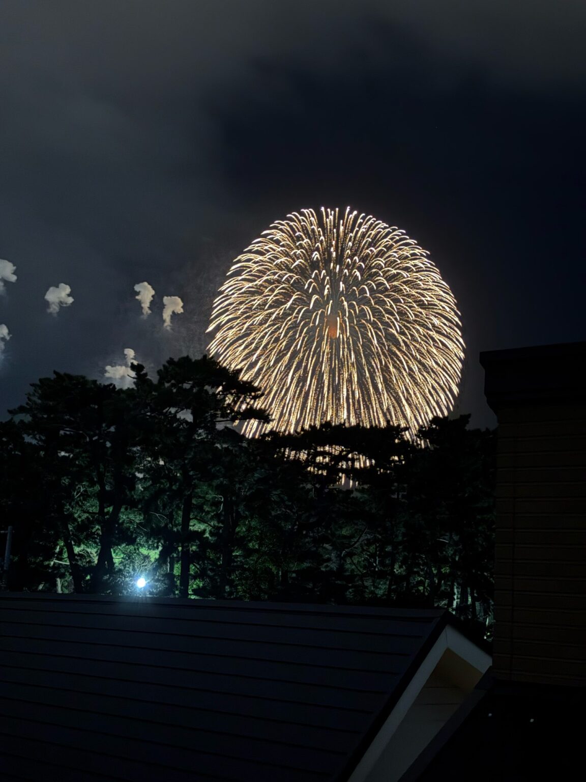 夏の風物詩が… - ジュエリーメイプルズ