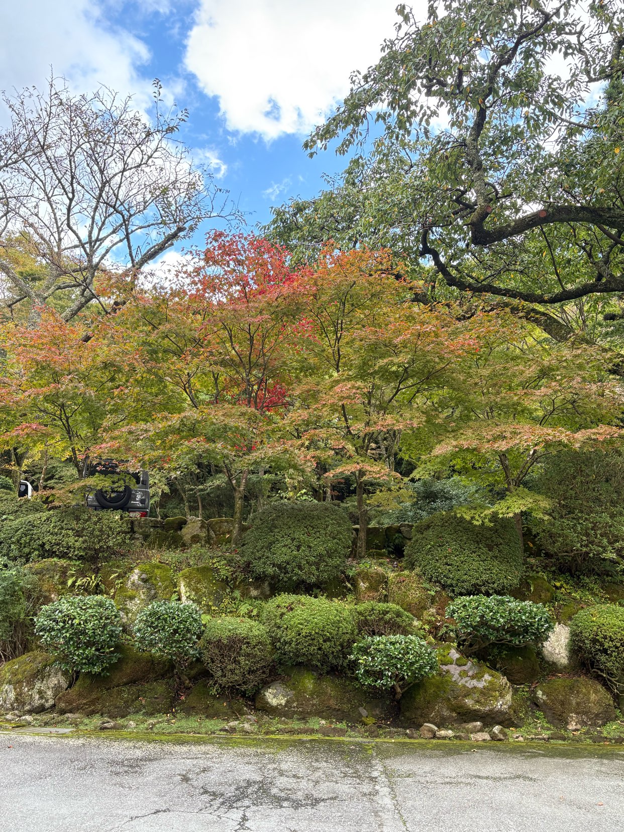 紅葉まで、もう少し