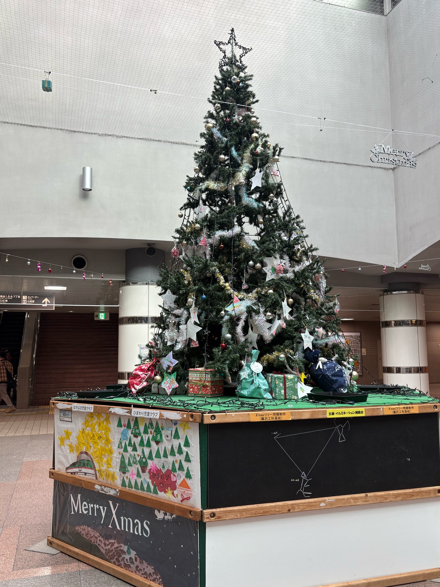 クリスマスツリー登場