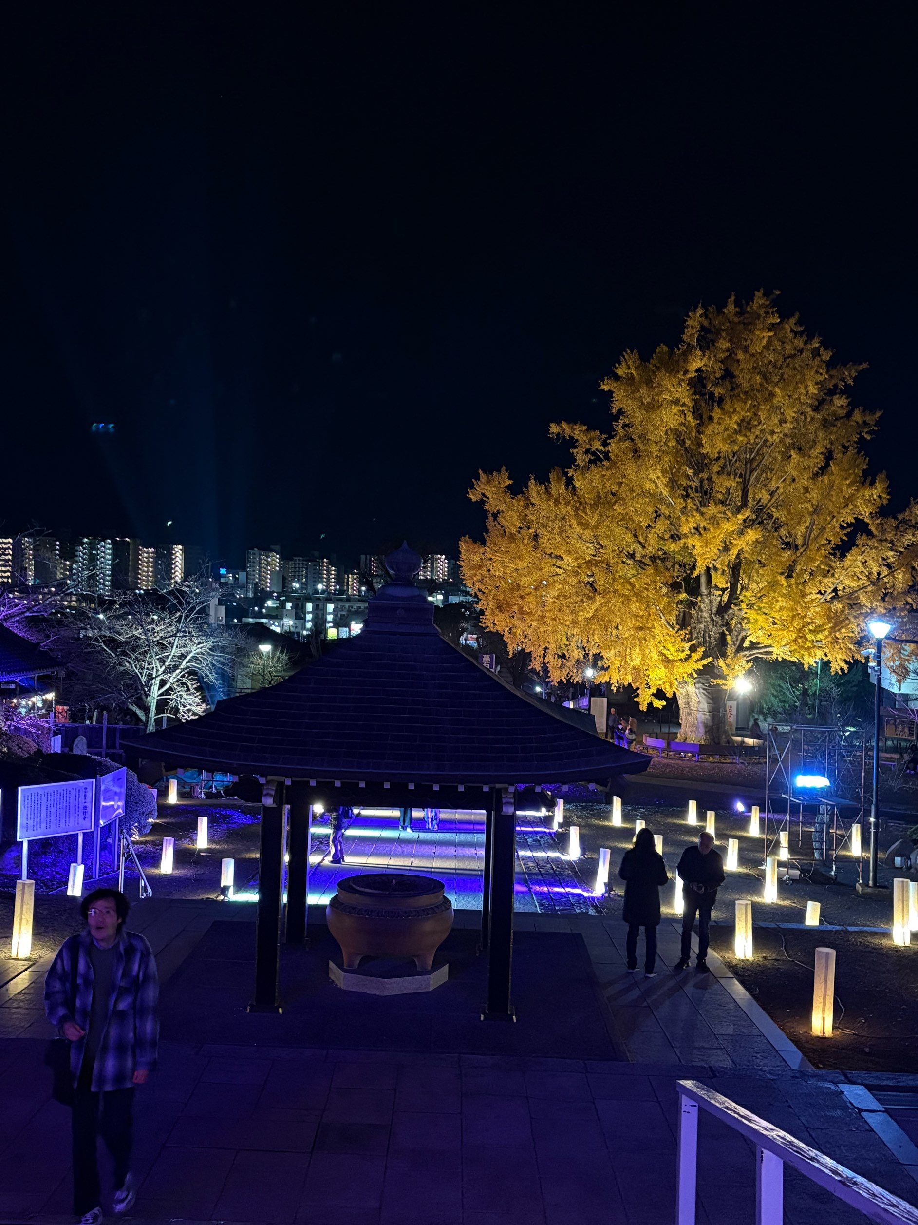 遊行寺のライトアップ