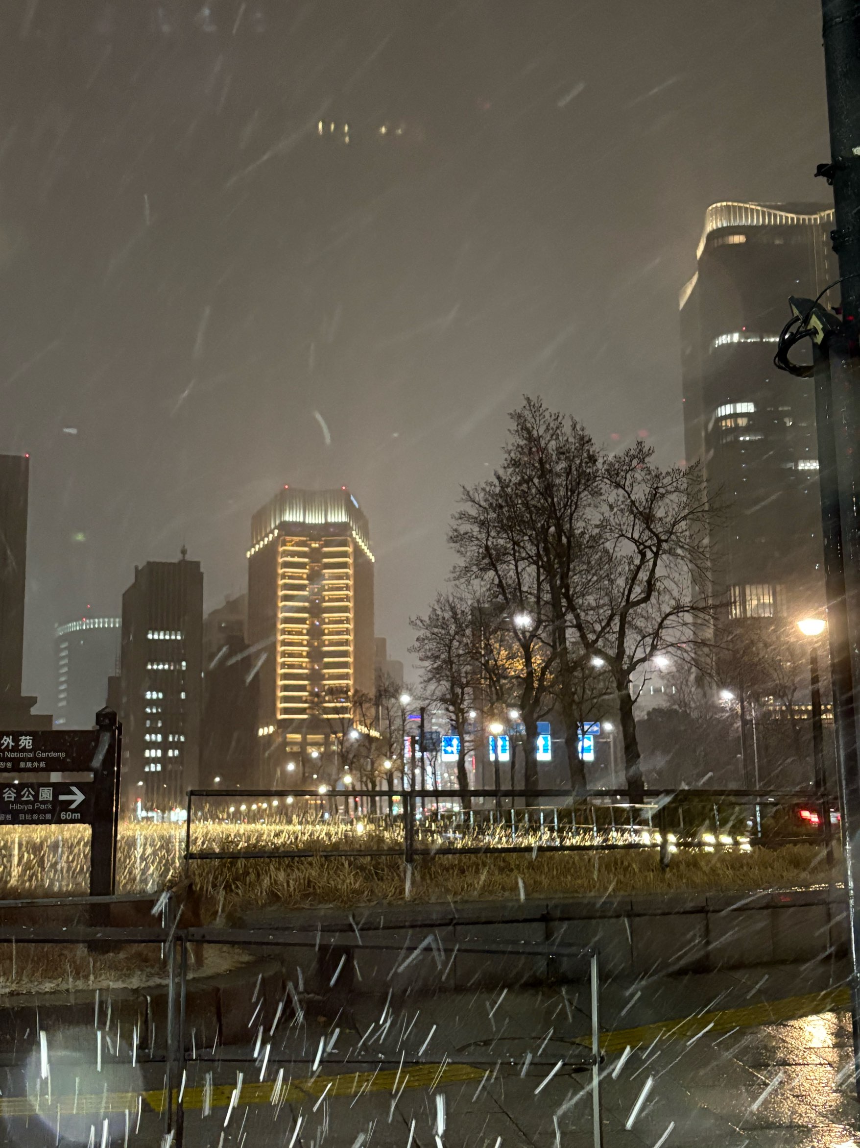 雪が舞いました