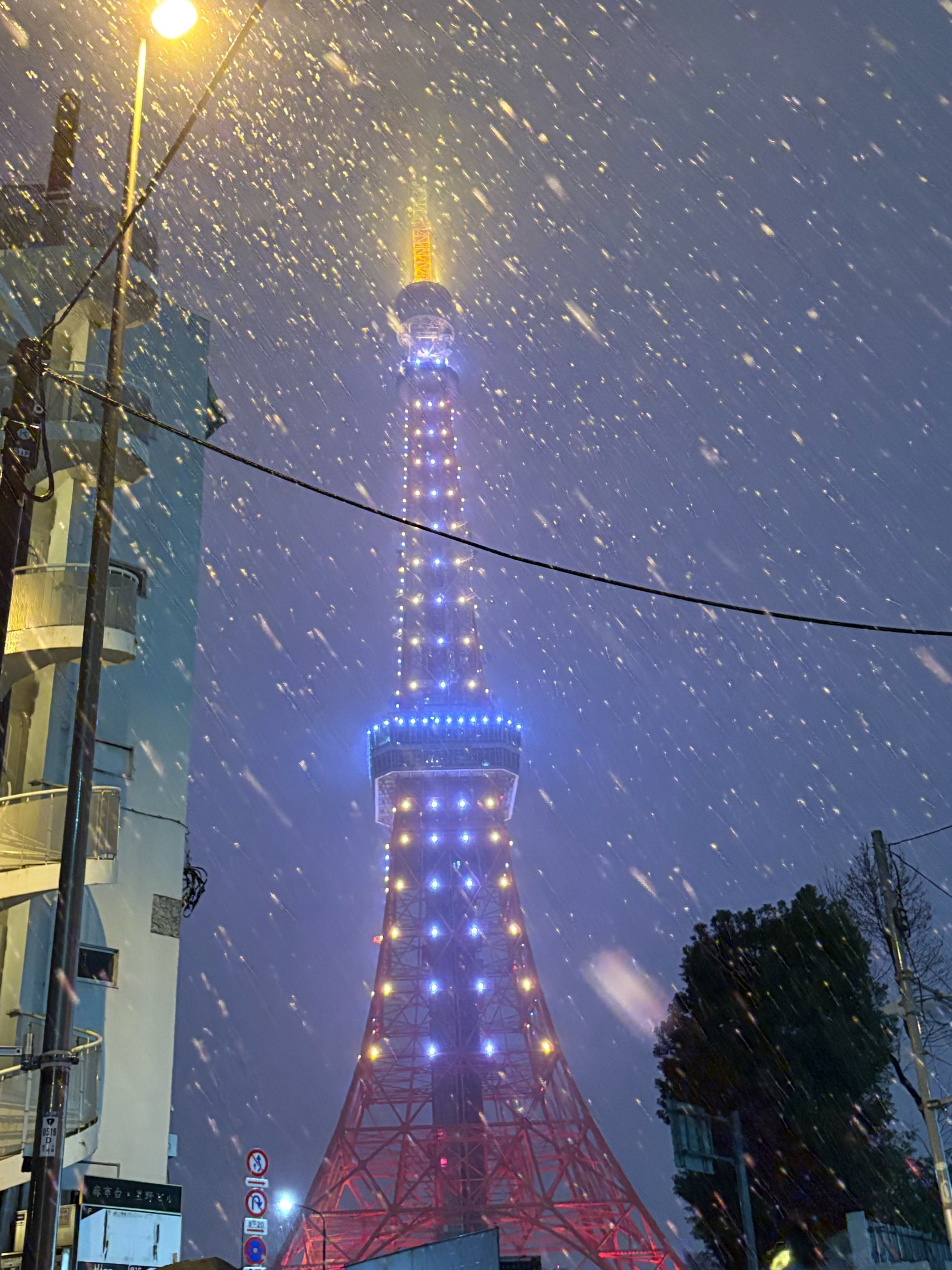 小寒を過ぎました…大寒が近づきます