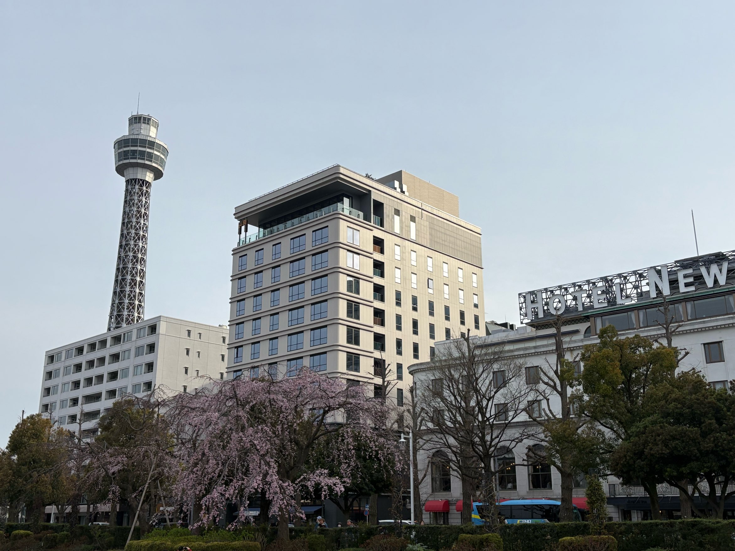 ようやく晴れてきました