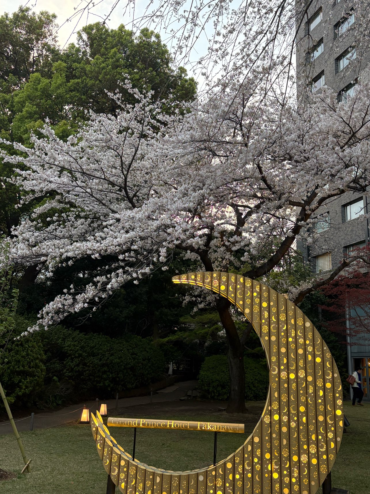 花散らしの雨の様です