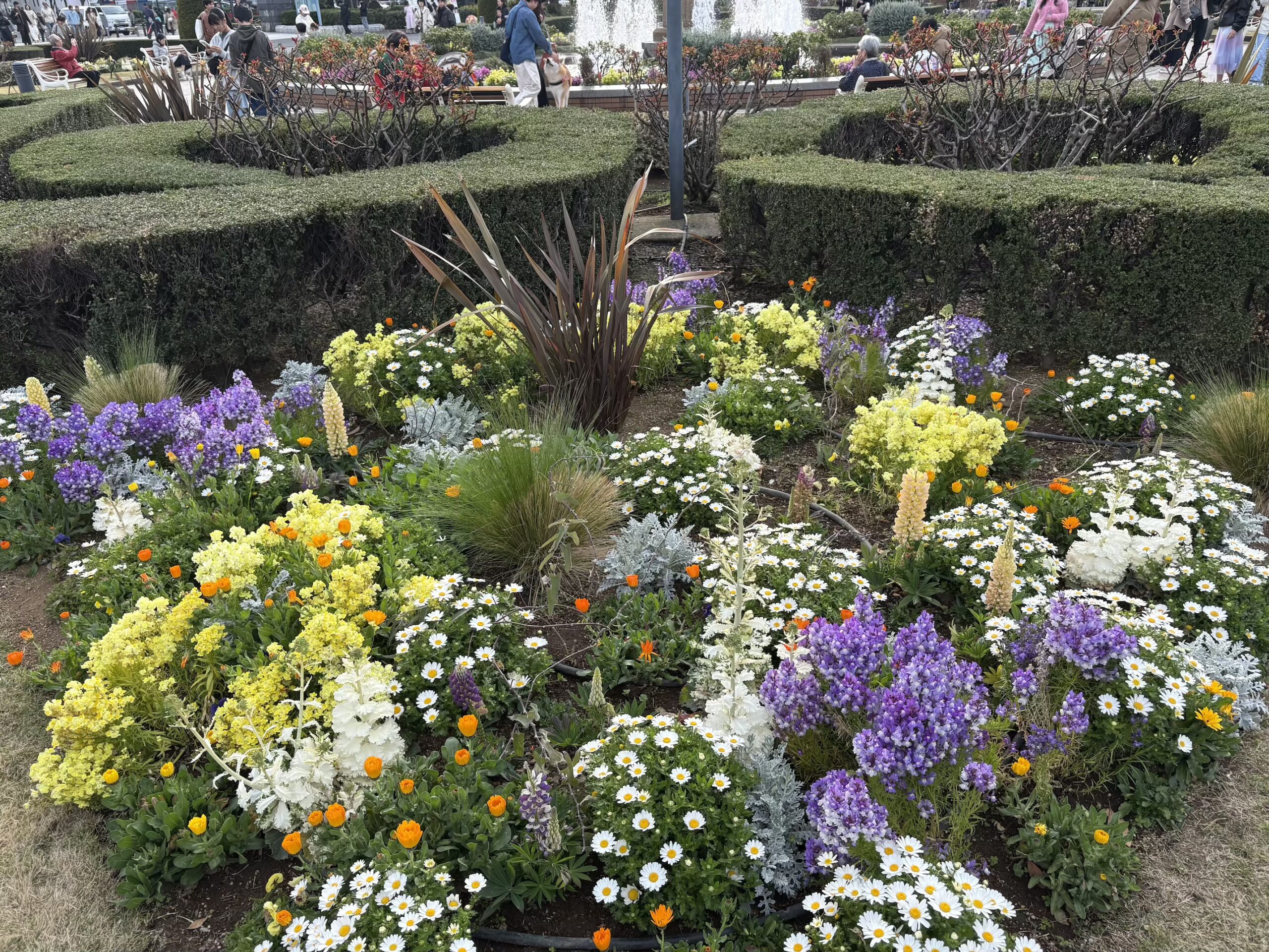 ２５日土曜日は臨時休業となります