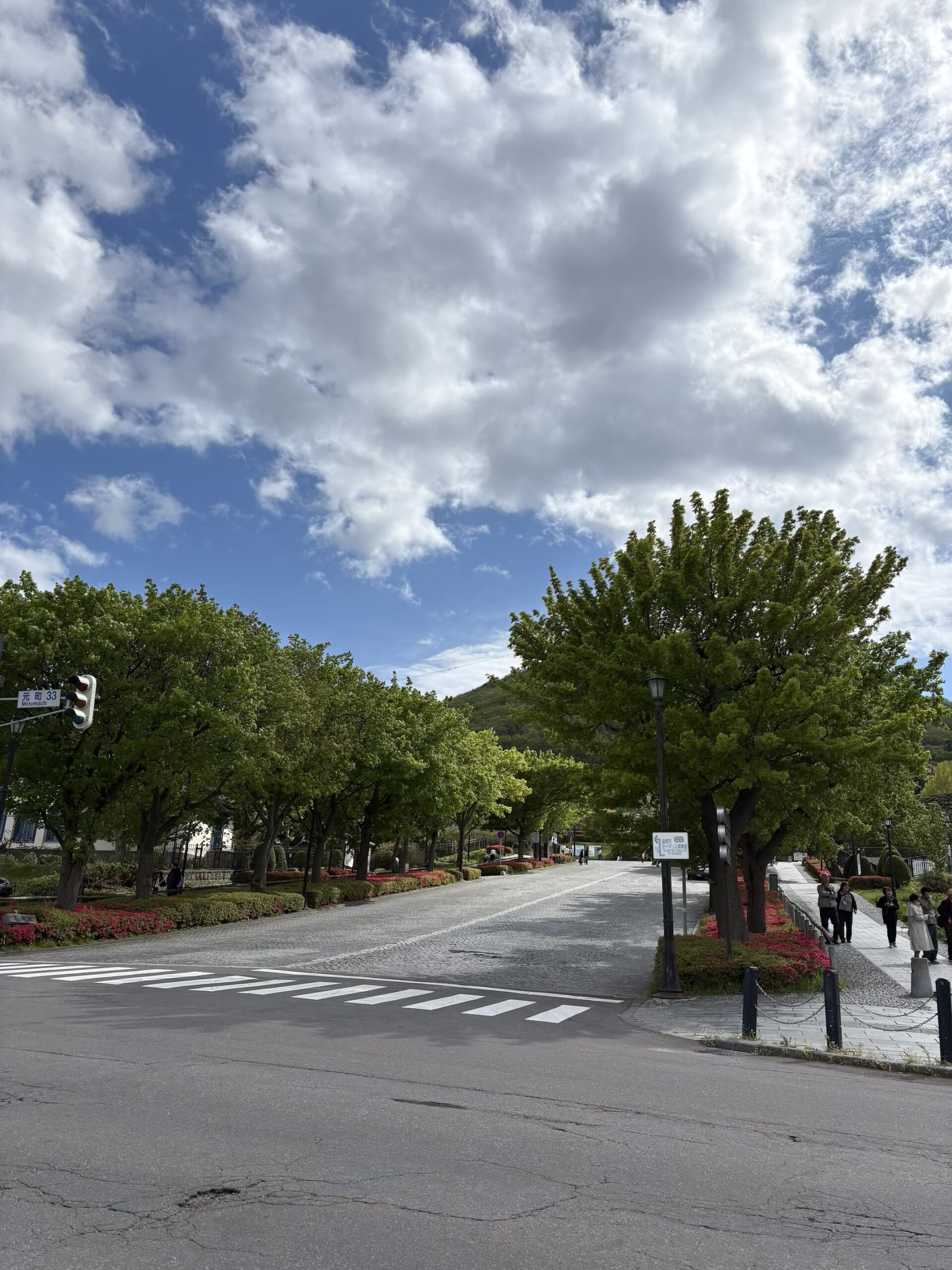 予報通りの雨