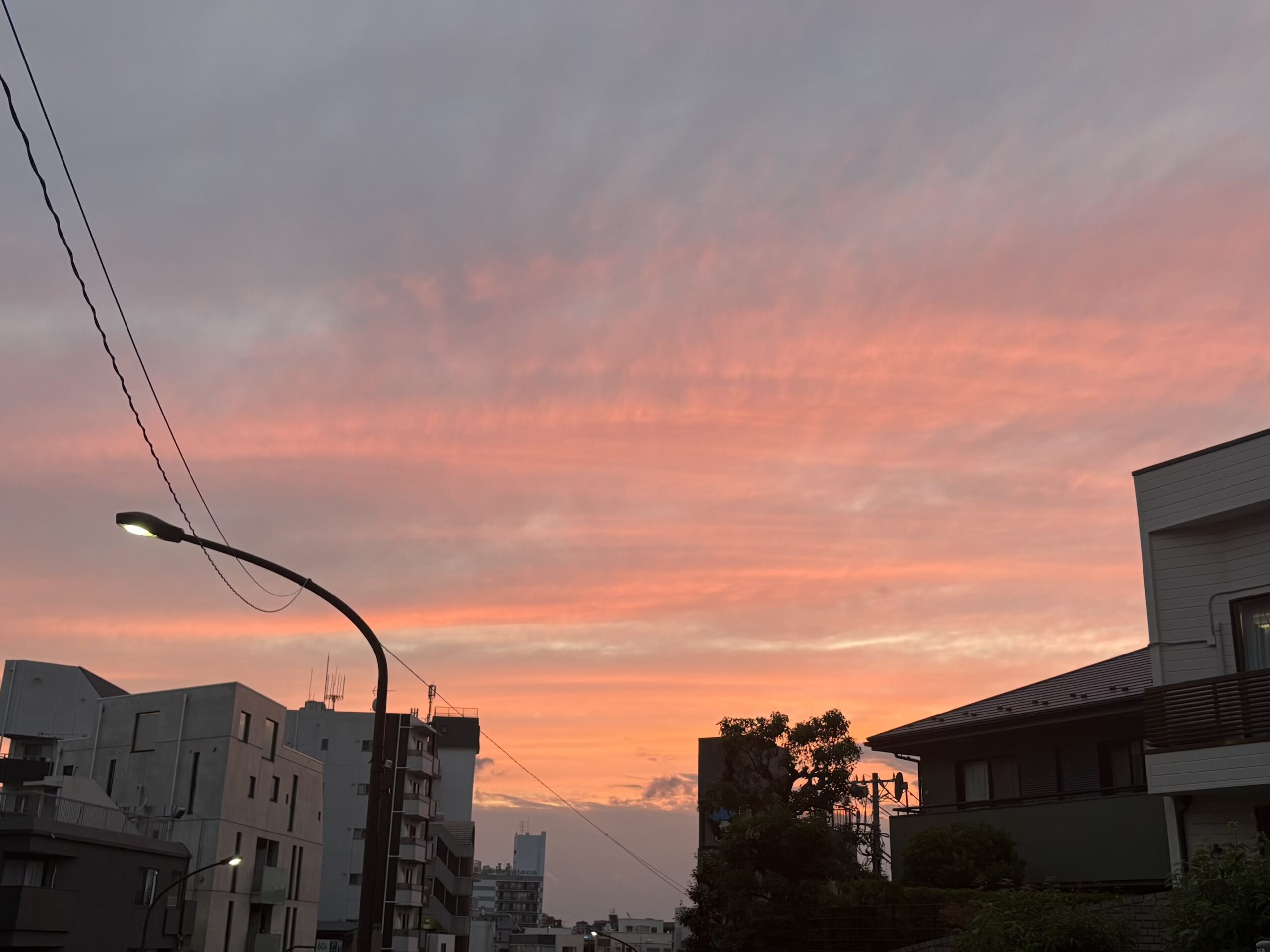 梅雨の晴れ間