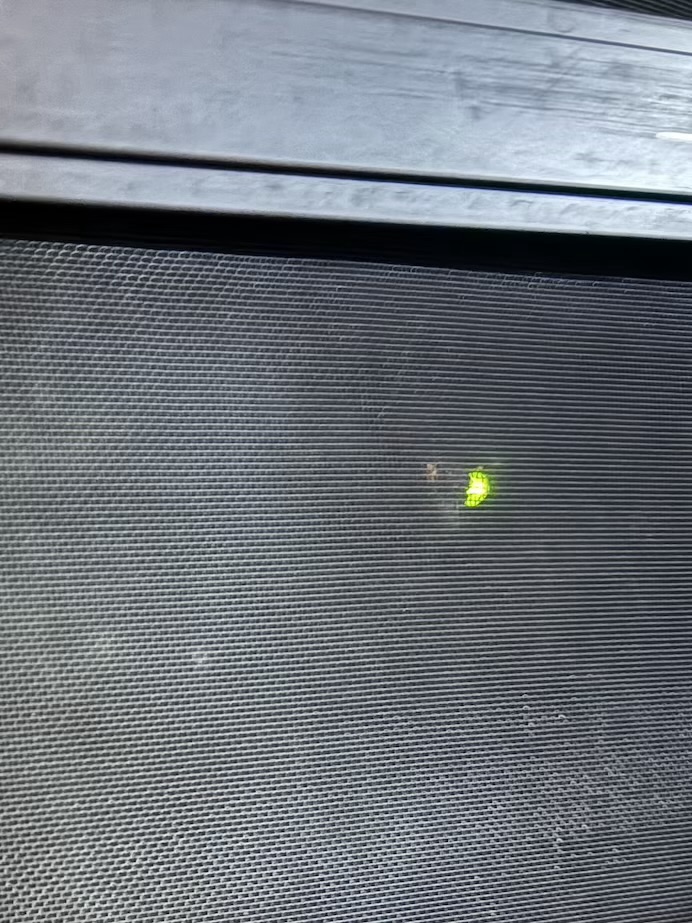 どこからか風鈴の音が…