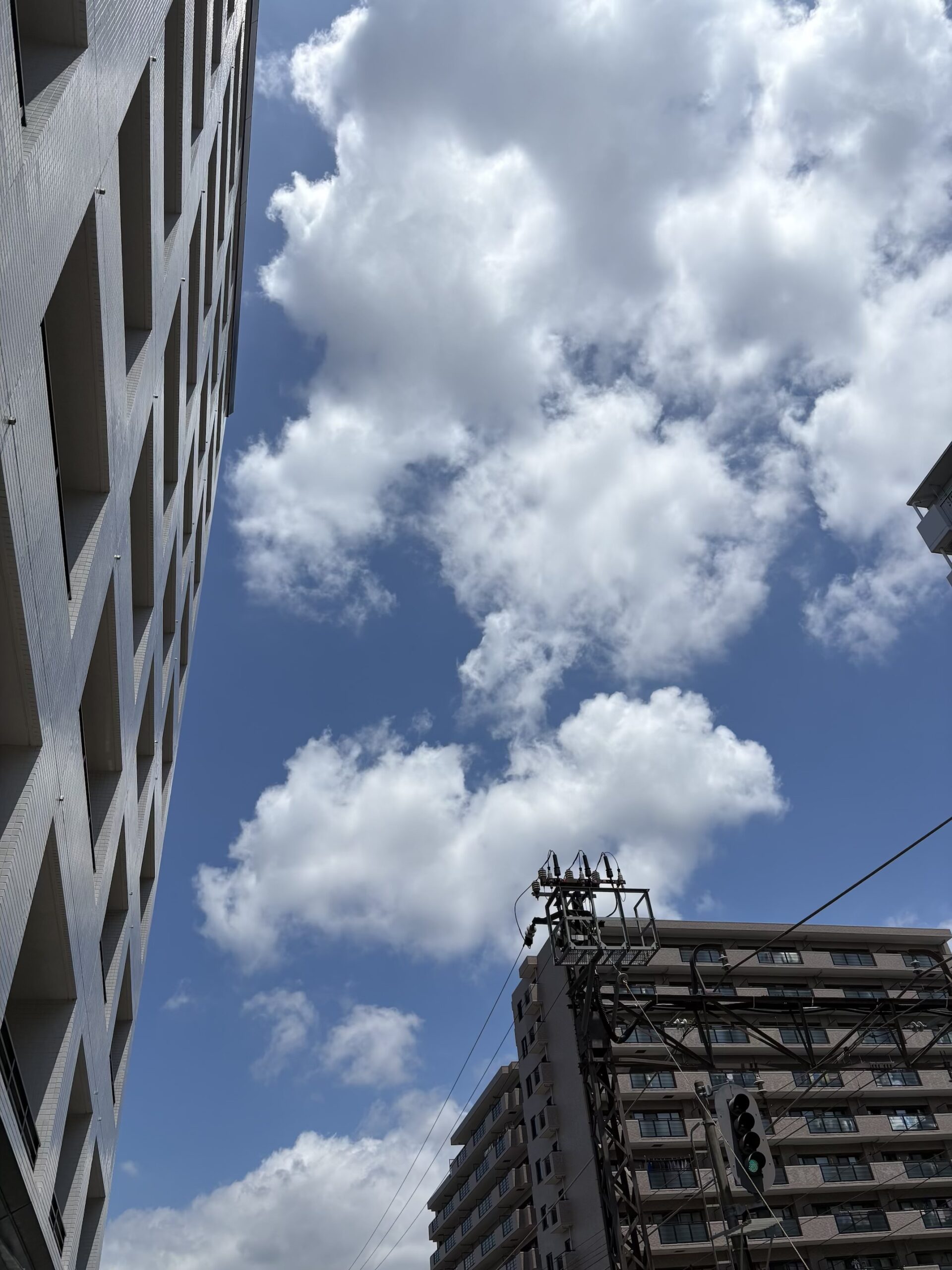 なんだか、夏ですね…