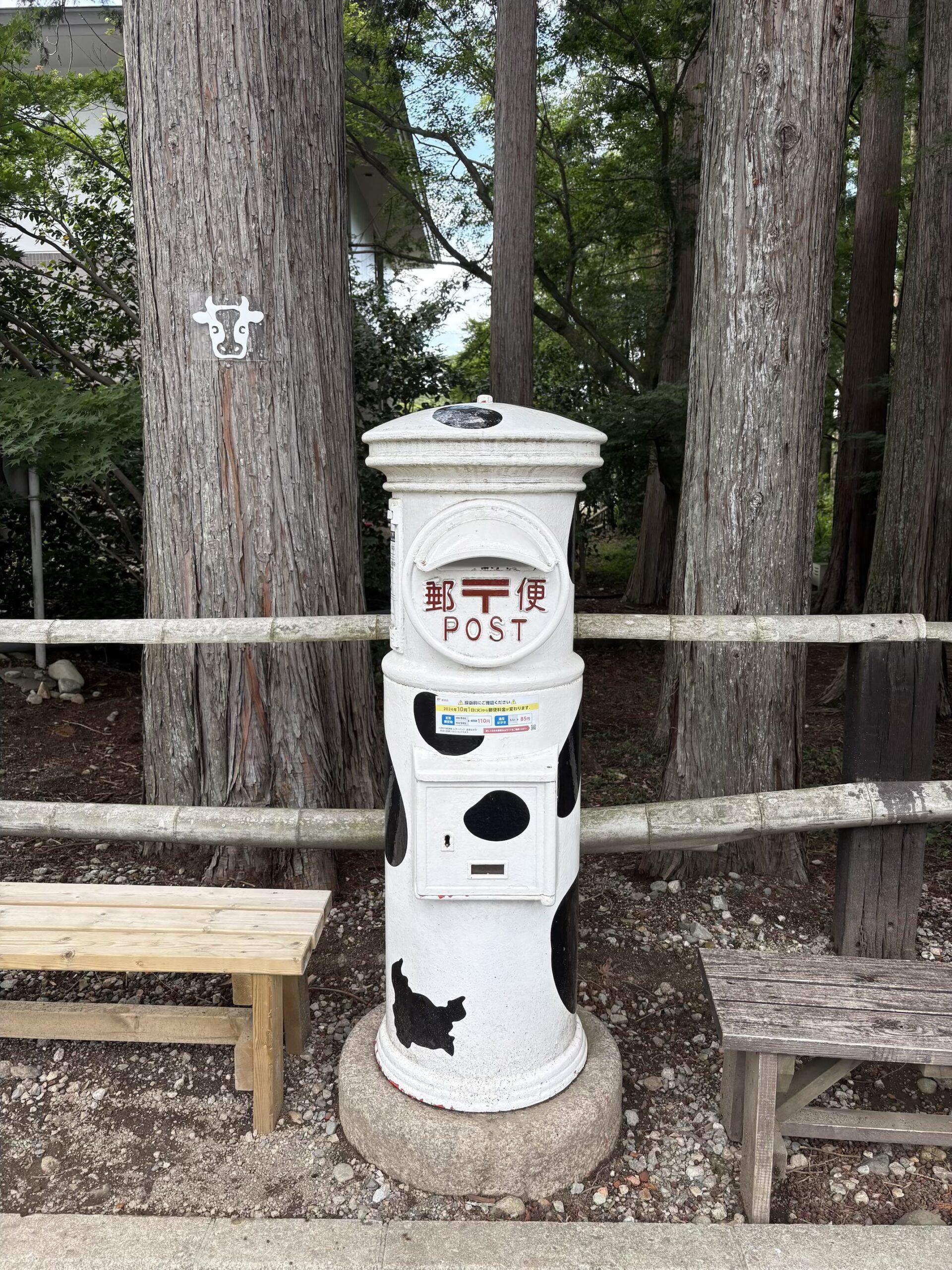 梅雨寒ですね