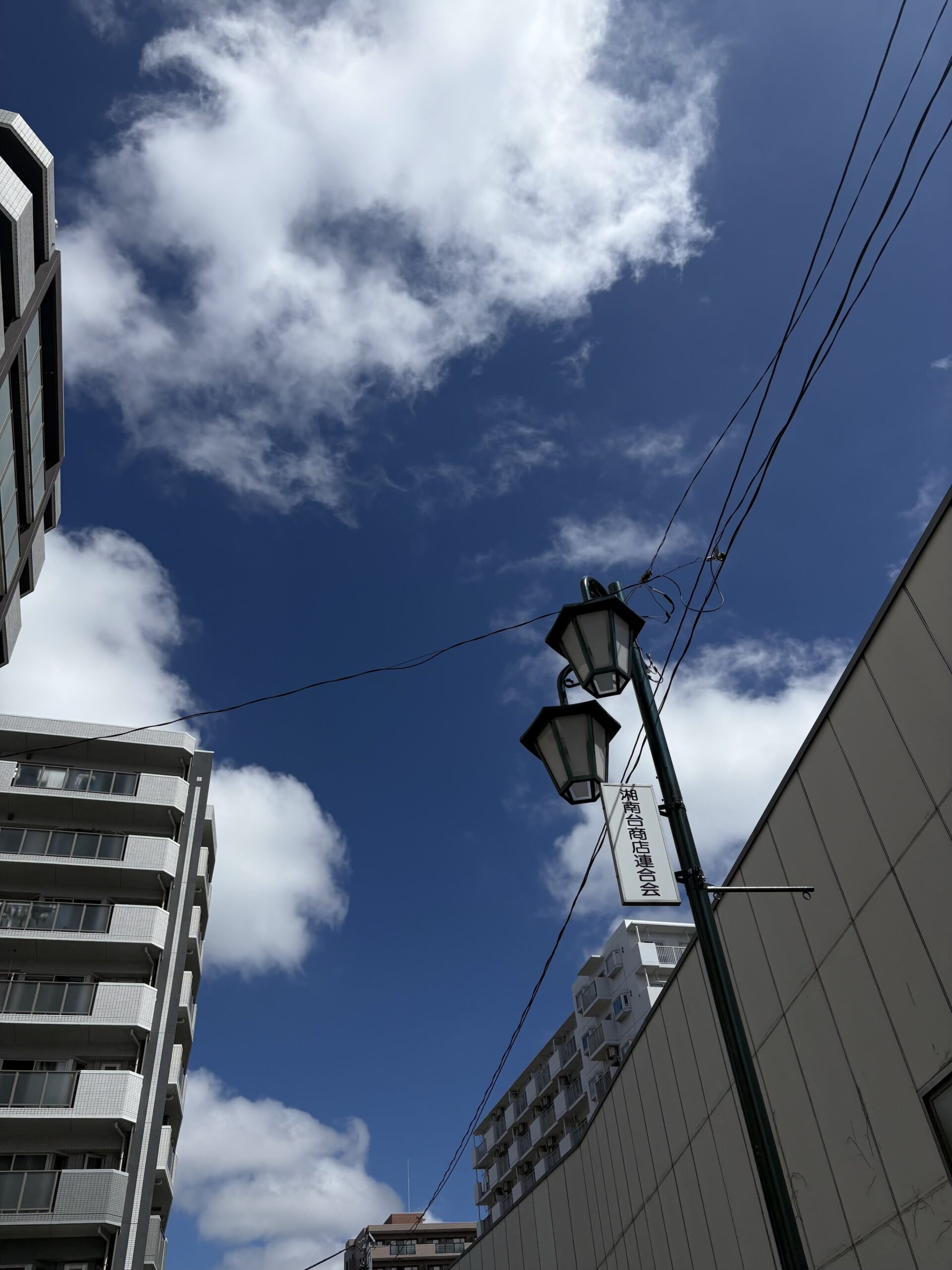 暑さが戻ってきました